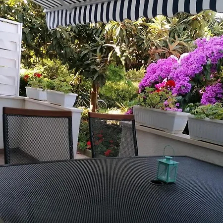 Garden *